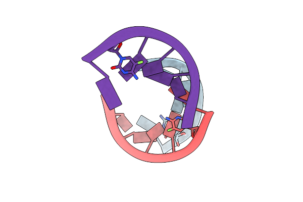 3JXR image
