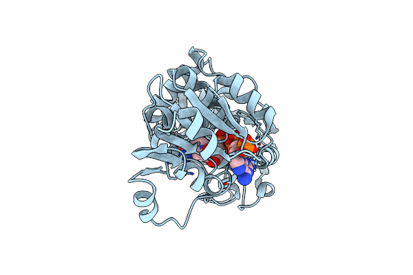 3JYN image