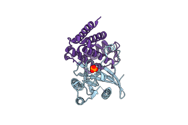 3JZA image