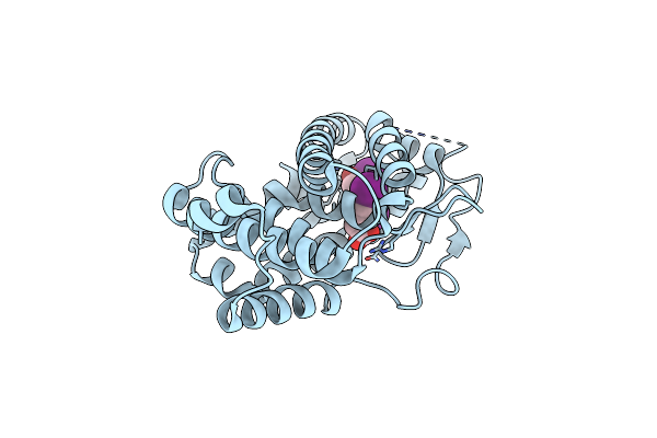 3JZC image