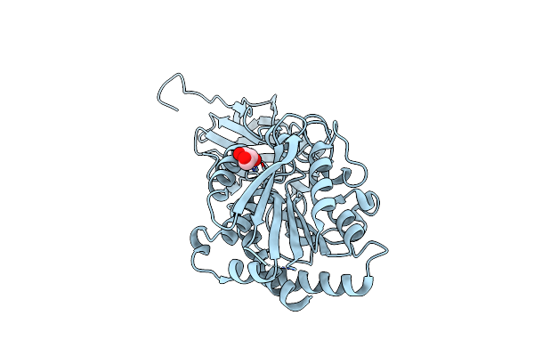 3K2K image