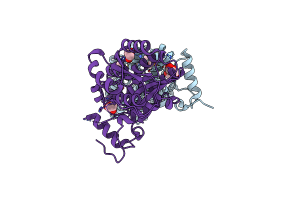 3K31 image
