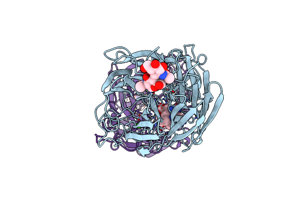 3K37 image