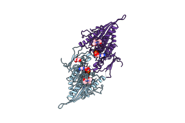 3K3B image