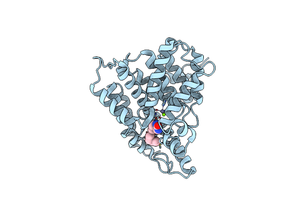 3K4S image