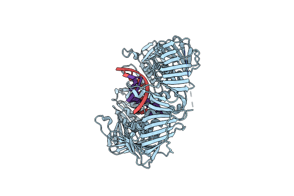3K4X image