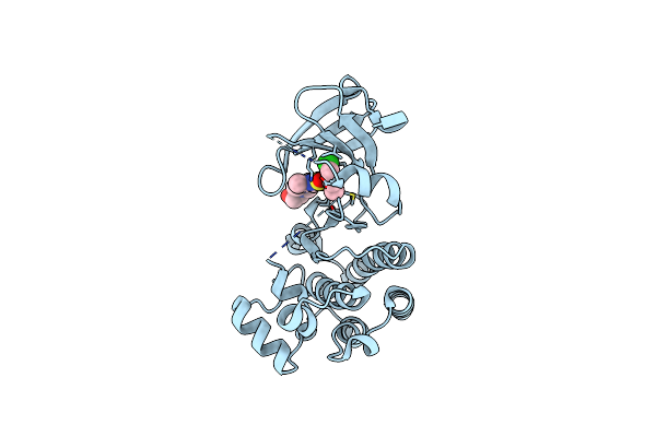 3K54 image