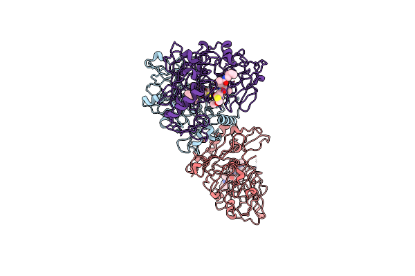 3K5D image