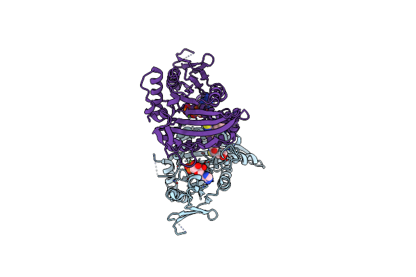 3K5E image