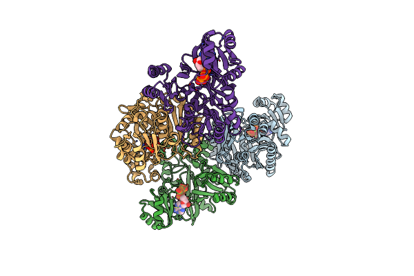 3K5H image