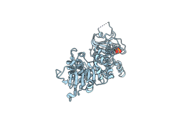 3K5W image