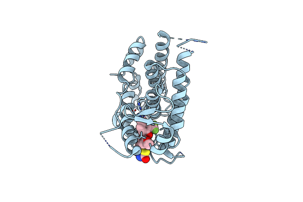3K6P image