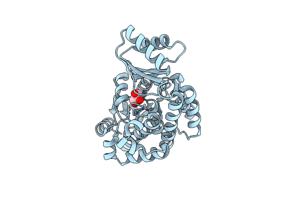 3K89 image