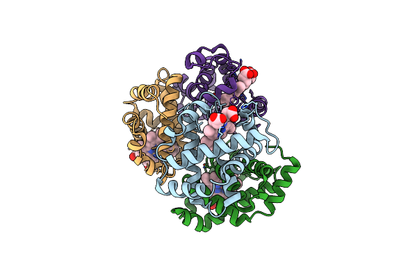 3K8B image
