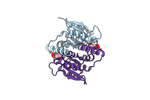 3K8C image