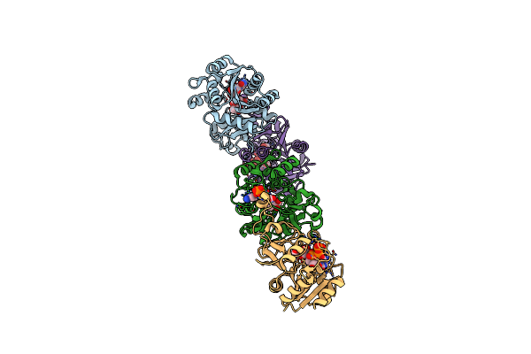 3K8D image