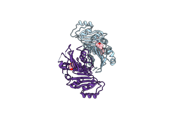 3K8G image