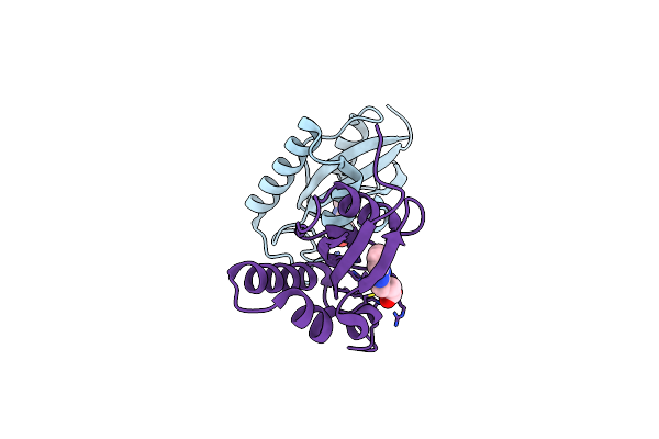 3KAC image