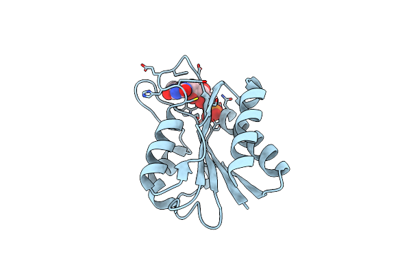 3KAQ image