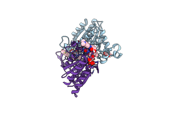 3KEG image
