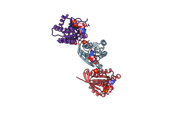 3KKO image