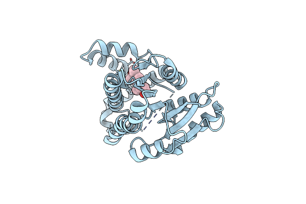 3KLP image