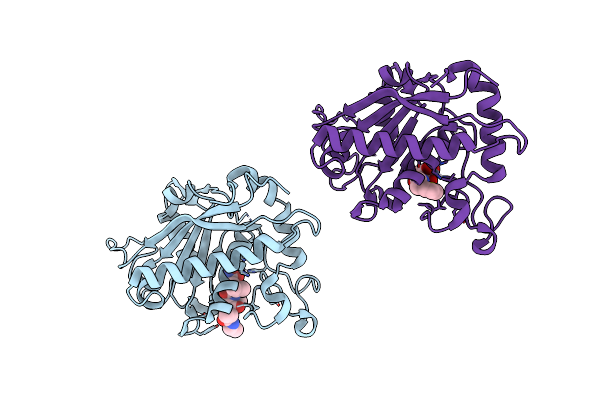3KMC image