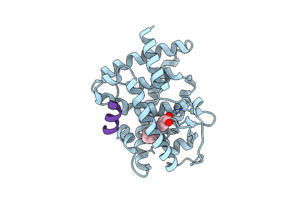 3KMR image