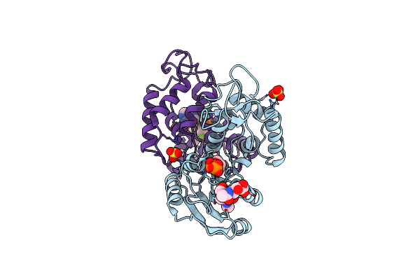 3KOU image