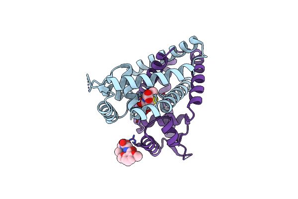 3KP4 image