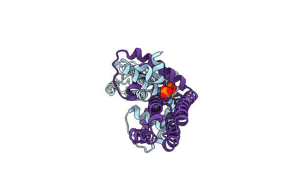 3KPH image