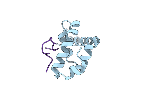 3KTP image