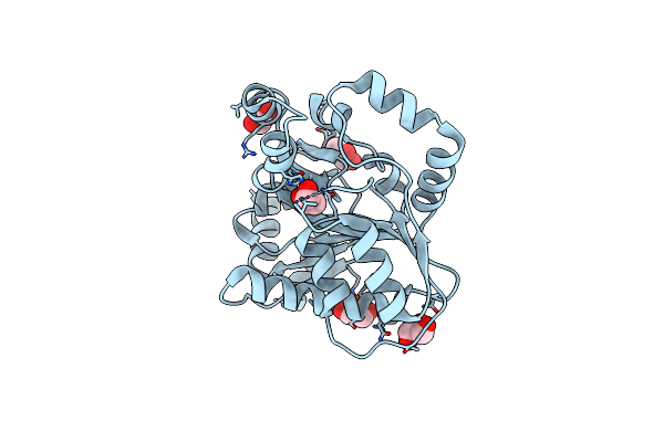 3KV1 image
