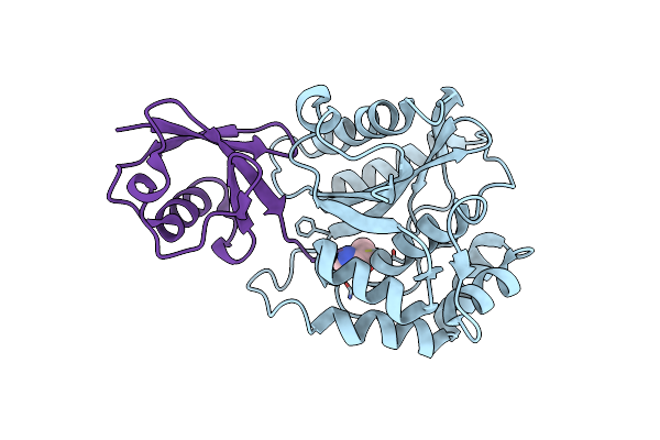 3KW5 image