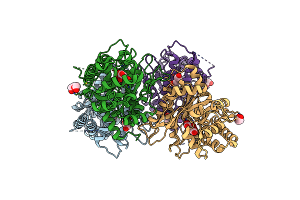 3KX6 image