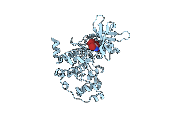 3KXG image