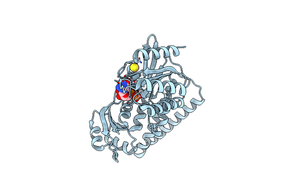 3KXI image
