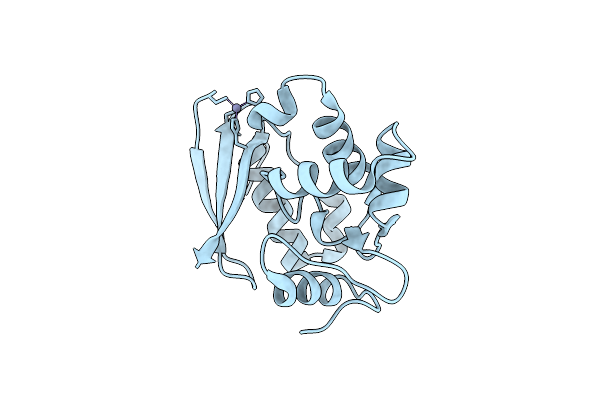 3L00 image