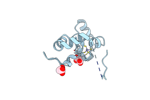 3L11 image