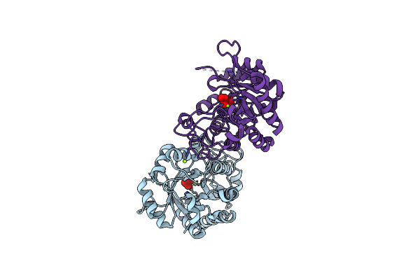 3L12 image
