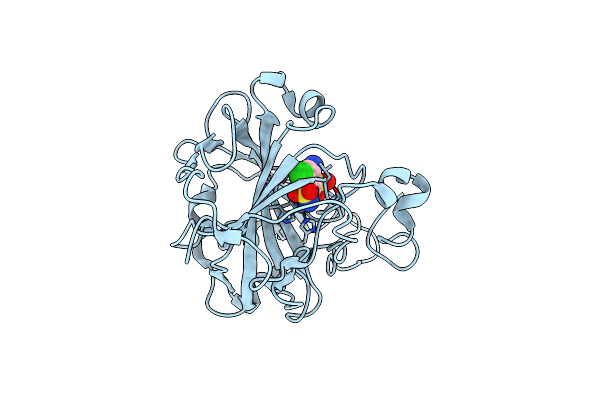 3L14 image