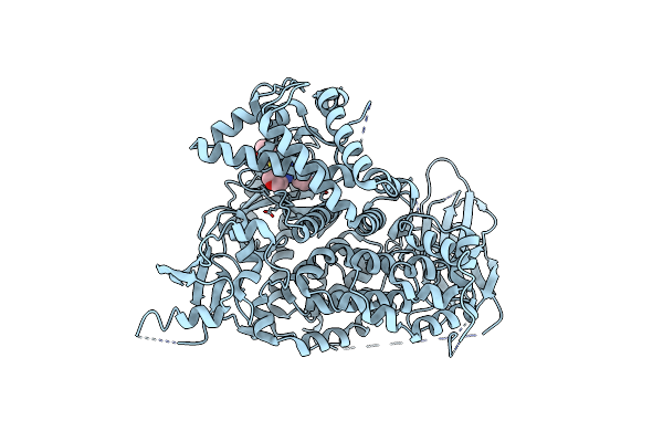 3L16 image