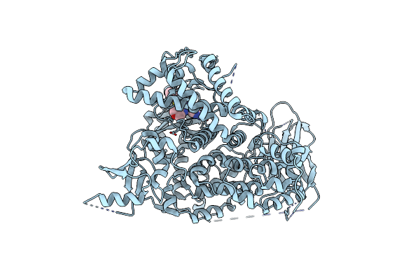 3L17 image