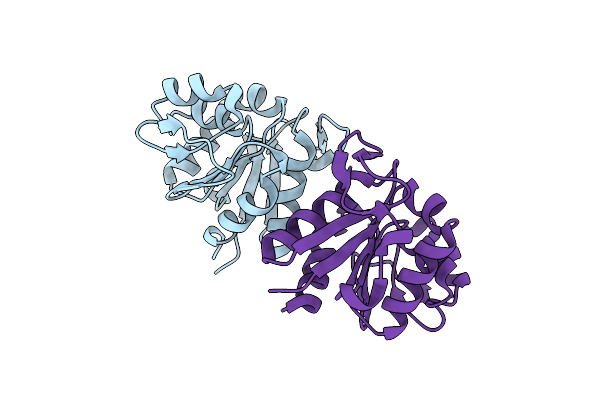 3L18 image
