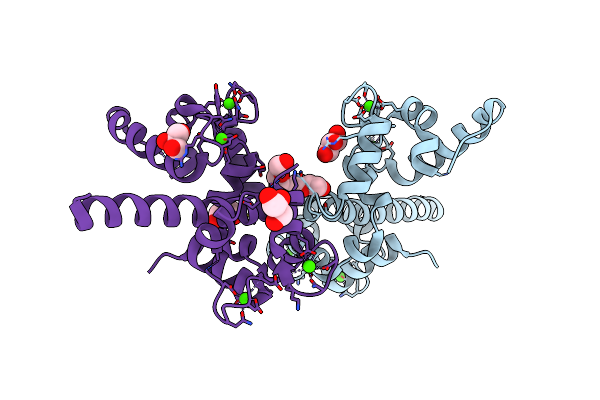 3L19 image