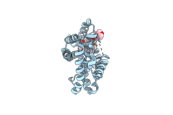 3L1B image