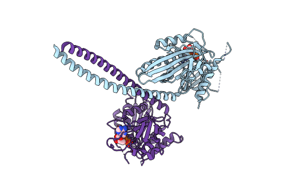 3L1C image