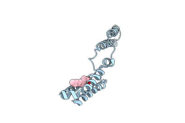 3L1N image