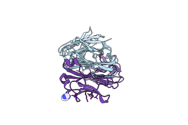3L1O image
