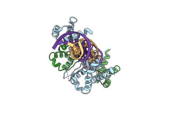 3L1P image